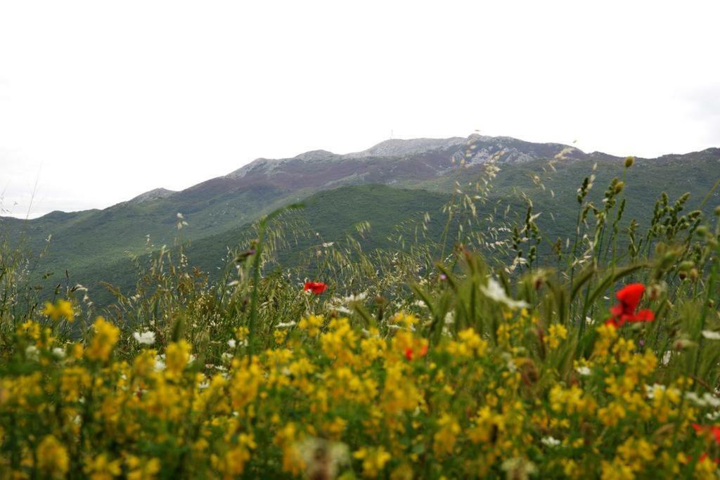 Malena Villa Zagvozd Luaran gambar