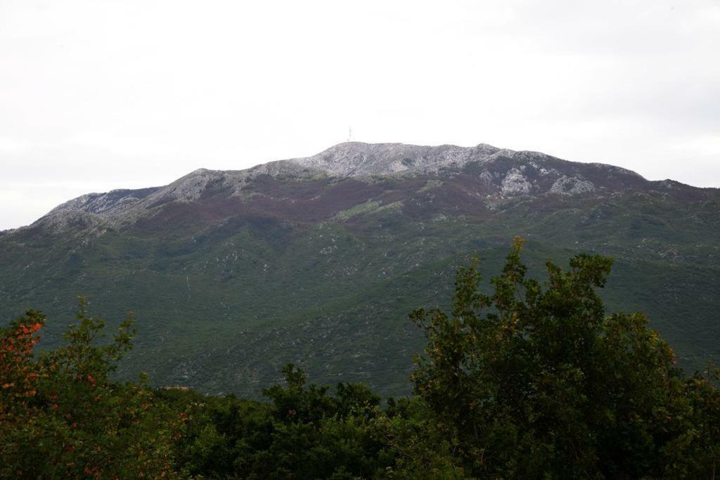 Malena Villa Zagvozd Luaran gambar